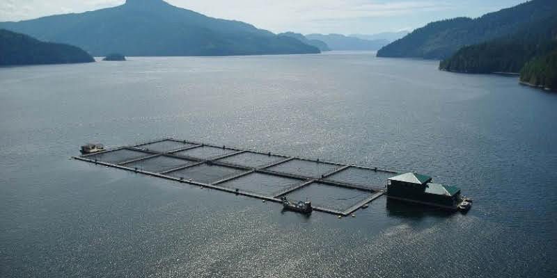 Federal Aquaculture Act