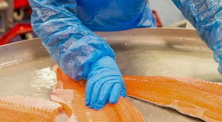  Salmon Farming Industry in BC: farmed and prosperous