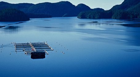 A new era for salmon farming in British Columbia