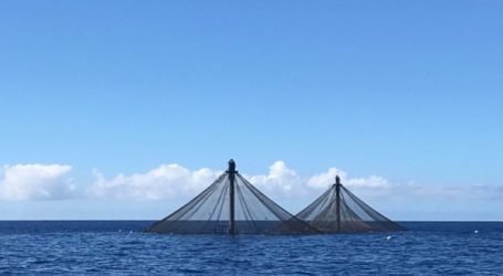 A new frontier for deep-sea fish farming﻿