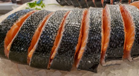 Salmon – Farmed and Nutritious