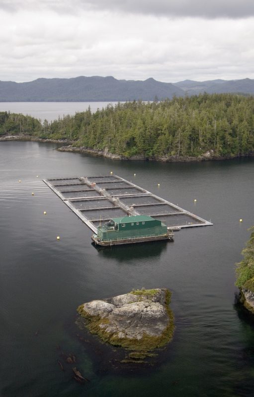 Aquaculture, SeaWestNews, BC Aquaculture, Aquaculture In Canada
