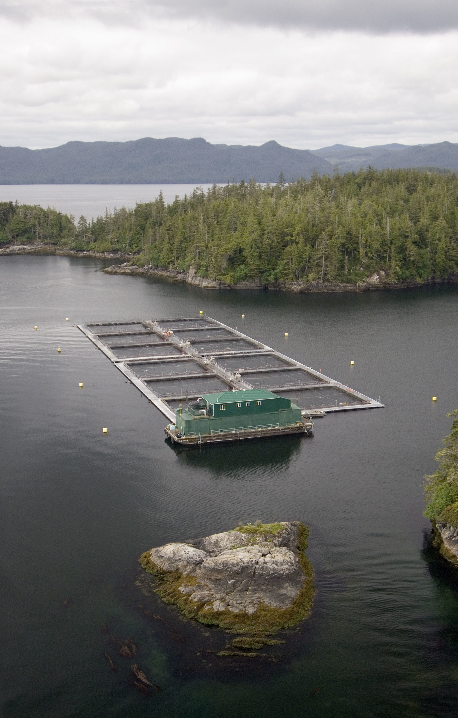 Why Canada needs to grow its aquaculture industry Sea West News