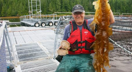 Seaweed sleuth offers a ‘kelp-ing’ hand for B.C.’s coastal communities