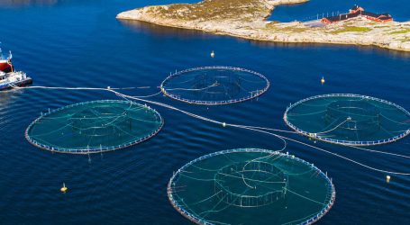 Aquaculture industry supports talks to address UNDRIP issues in BC
