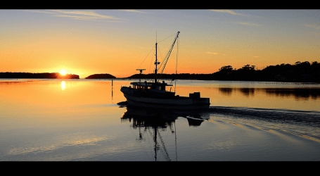 A new dawn for aquaculture in the Pacific Northwest