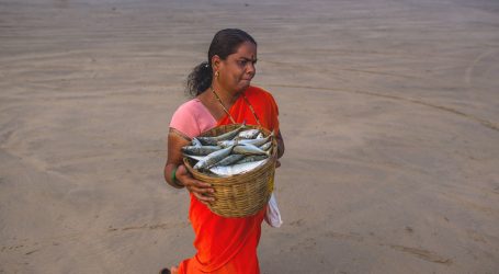 A new high for aquaculture: UN