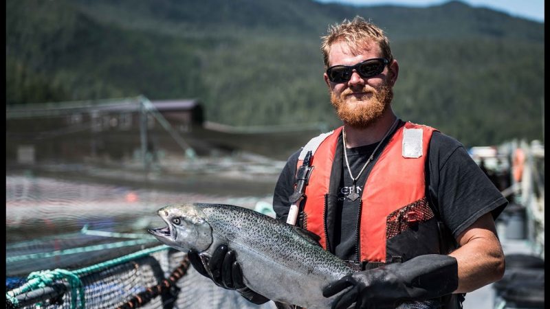 Salmon farmers propel food and beverage processors to record $10.5 billion in sales,