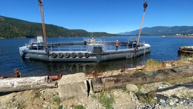 BC Salmon farmers plan $113 million in immediate aquaculture projects that will generate nearly 450 new well-paid jobs to help Vancouver Island in its post COVID-19 recovery efforts.