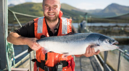 Beyond the headlines about salmon aquaculture