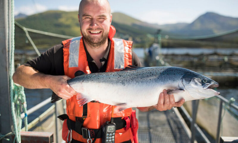 Recent studies by anti-fish farm activist-scientists hide inconvenient truths about sustainable salmon aquaculture in Canada