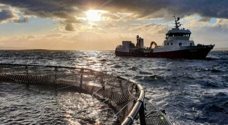 Poseidon making waves for salmon aquaculture in Scotland