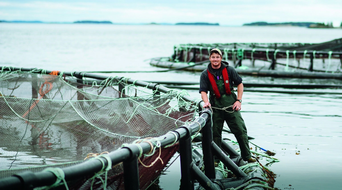 Aquaculture in Canada a tale of two coasts Sea West News