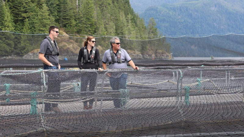 B.C.’s homegrown salmon farming technology is setting the standards around the world, states a new report