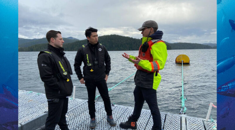 “Our salmon production is totally dependent upon a healthy ocean environment and we are on the seas constantly monitoring the waters we work in…not in some downtown Vancouver office creating fear mongering propaganda so that the activists can get a paycheck.”