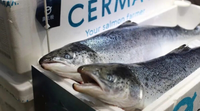 Trucker vaccine mandates and marine shipping disruptions threaten billions of dollars’ worth of Canadian seafood exports