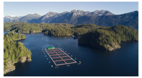 First Nation renews aquaculture agreement with salmon farmer