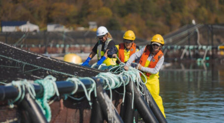 Aquaculture sector thanks Atlantic Canada’s premiers