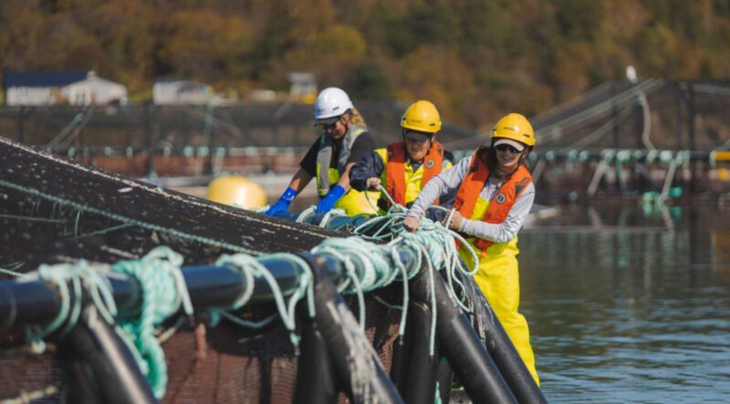“When it comes to salmon farming, Atlantic Canada is unique – and that uniqueness is key to our sector’s success,” states an open letter to premiers
