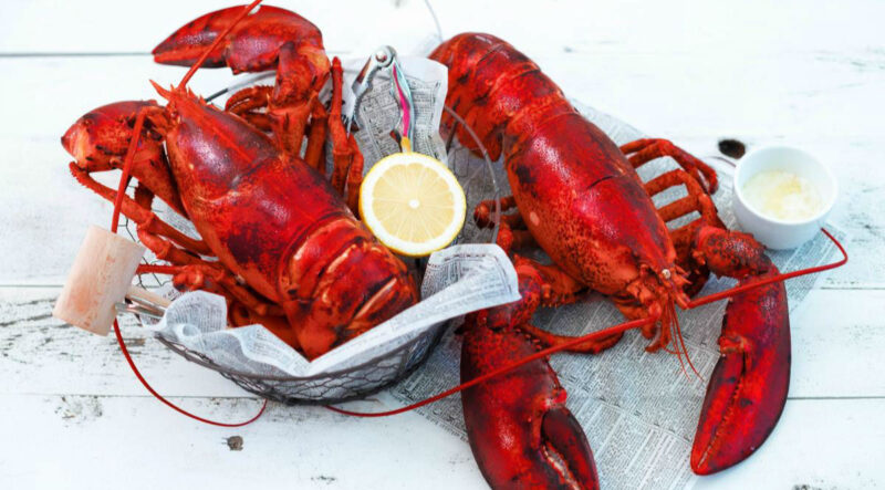 The lobster industry will likely recover eventually, but right now, the impact of COVID-19 is still being measured.