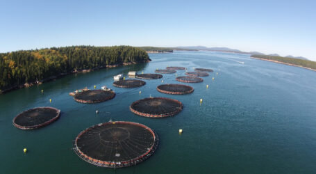 New book rehashes false claims about salmon farming