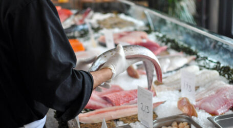 Canada’s seafood supply chains open to fraud, worker abuse