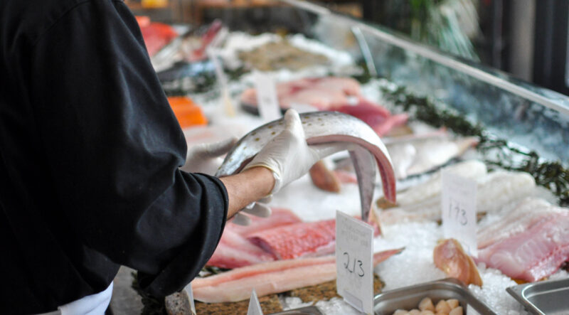New campaign calls for fully traceable boat-to-plate seafood supply chains