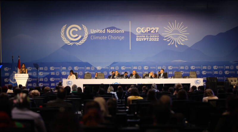 Improving aquaculture will give us more affordable protein for less environmental impact says world’s largest conservation organization, as COP 27 climate conference gets underway in Egypt