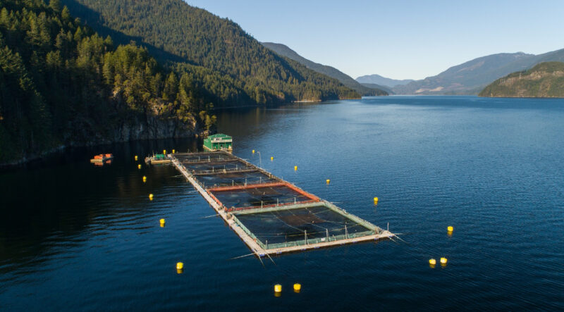 Grieg Seafood BC seeks to develop new sites better suited for salmon farming as it works with First Nations to chart the future of aquaculture in their traditional territories