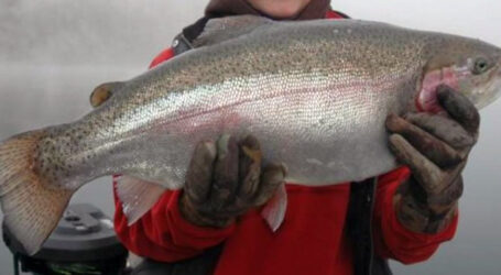 “Politically self-serving” fish farming ban challenged in Washington