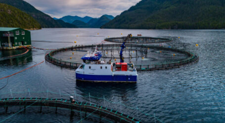 First Nations and salmon farmers seek judicial review of minister’s aquaculture decision that prevents them from raising fish in the Discovery Islands of British Columbia.