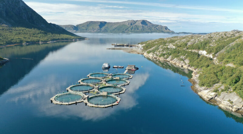 New aquaculture systems being introduced to help further minimise interactions between wild and farmed salmon.