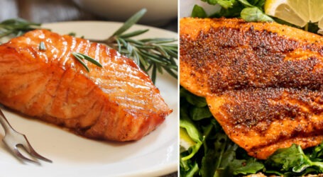 farmed salmon and wild salmon side by side