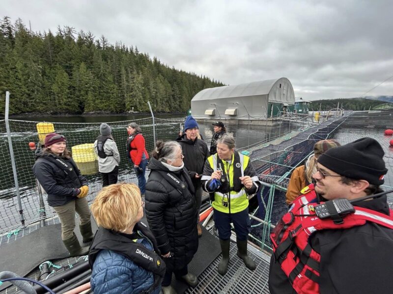 The continued spread of misinformation by anti-salmon farming groups emphasizes the need for responsible advocacy based on facts and science.