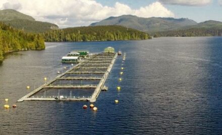 Proposed conditions of licence changes include extension of marine aquaculture permits for a period of between two and six years.