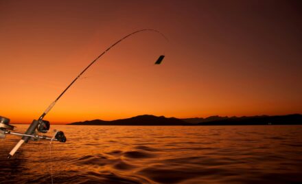 “If they are claiming that the closure of our salmon farms will bring the wild fish back, then we should also be asking what a ban on sports fishing will do to replenish wild stocks.”